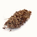 Trop. Springschwänze Groß 1L