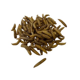 Hermetialarven getrocknet 500 ml